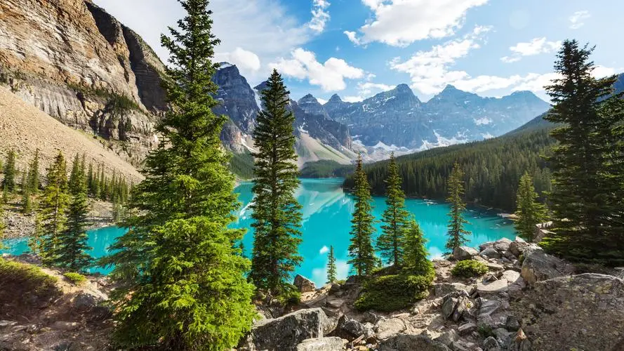 无人化先进智能